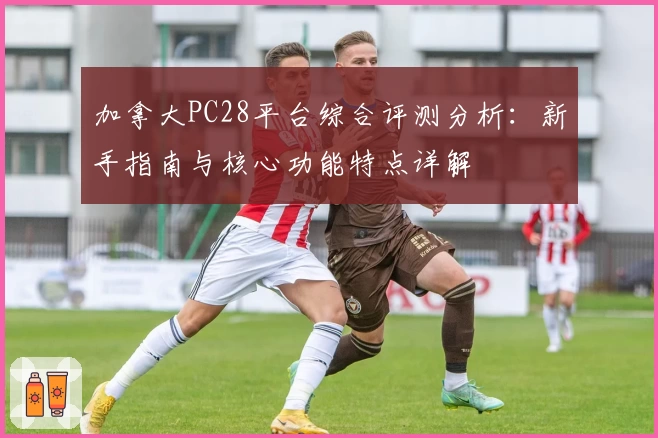 加拿大PC28平台综合评测分析：新手指南与核心功能特点详解
