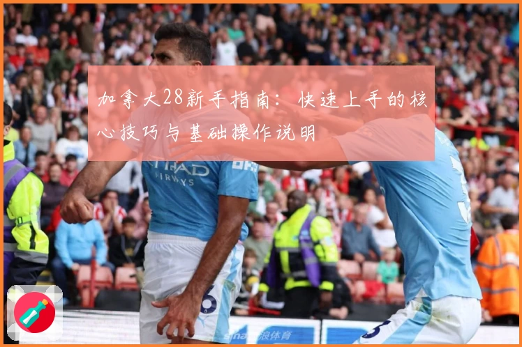 加拿大28新手指南：快速上手的核心技巧与基础操作说明