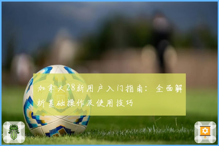 加拿大28新用户入门指南:全面解析基础操作及使用技巧