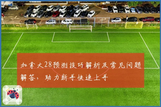 加拿大28预测技巧解析及常见问题解答，助力新手快速上手