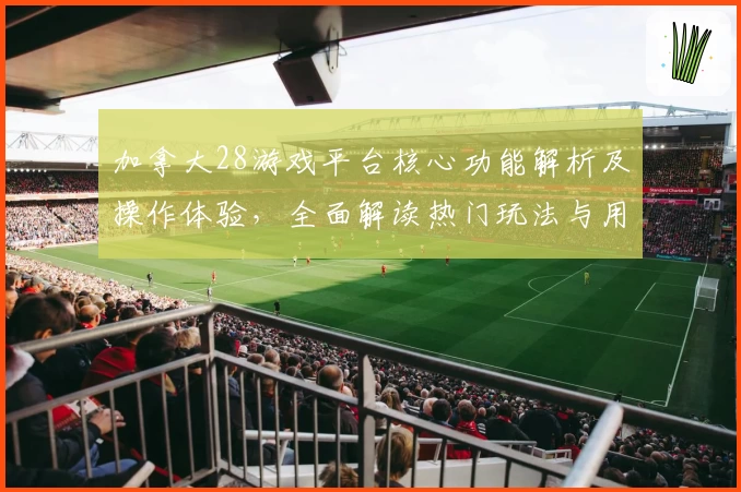加拿大28游戏平台核心功能解析及操作体验，全面解读热门玩法与用户口碑总结