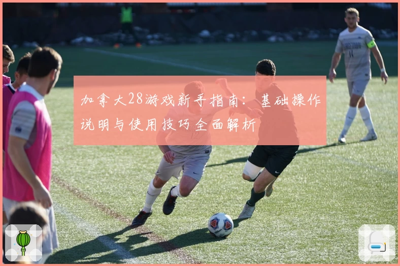 加拿大28游戏新手指南：基础操作说明与使用技巧全面解析