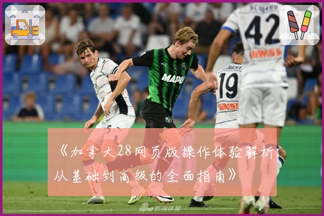 《加拿大28网页版操作体验解析：从基础到高级的全面指南》