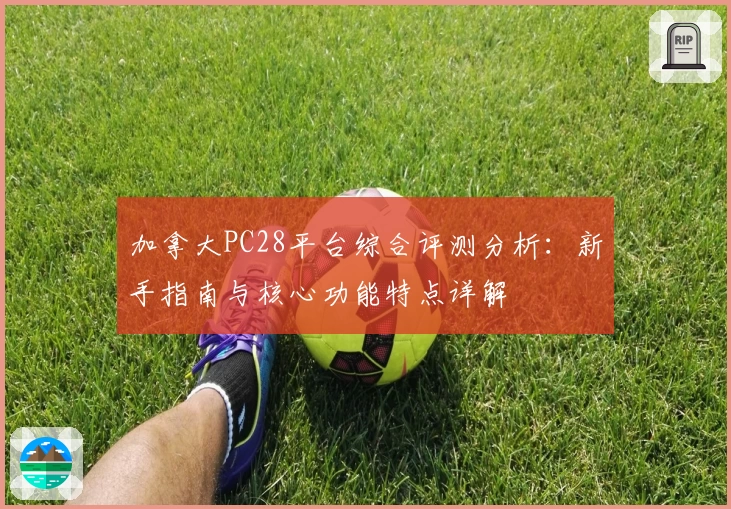 加拿大PC28平台综合评测分析：新手指南与核心功能特点详解