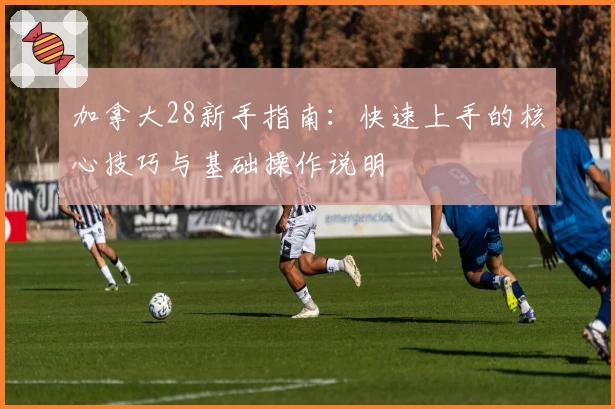 加拿大28新手指南:快速上手的核心技巧与基础操作说明