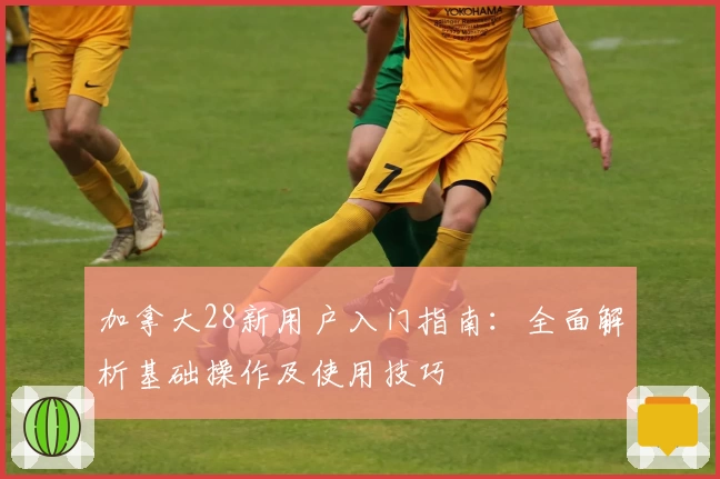 加拿大28新用户入门指南：全面解析基础操作及使用技巧