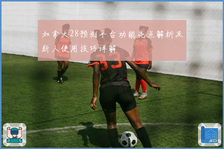 加拿大28预测平台功能亮点解析及新人使用技巧详解